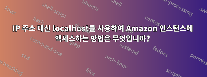 IP 주소 대신 localhost를 사용하여 Amazon 인스턴스에 액세스하는 방법은 무엇입니까?