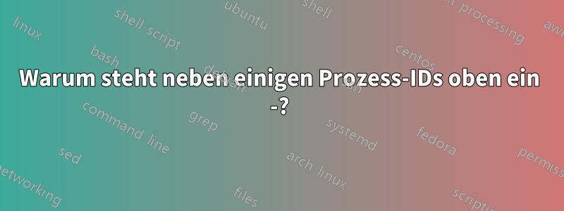 Warum steht neben einigen Prozess-IDs oben ein -?