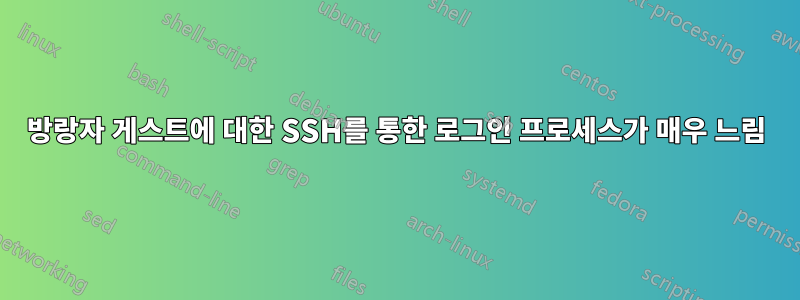 방랑자 게스트에 대한 SSH를 통한 로그인 프로세스가 매우 느림