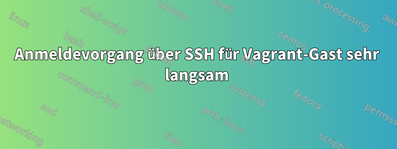 Anmeldevorgang über SSH für Vagrant-Gast sehr langsam