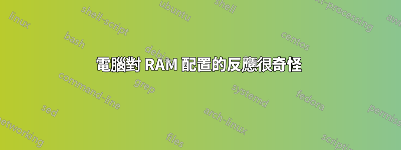 電腦對 RAM 配置的反應很奇怪