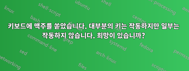 키보드에 맥주를 쏟았습니다. 대부분의 키는 작동하지만 일부는 작동하지 않습니다. 희망이 있습니까?