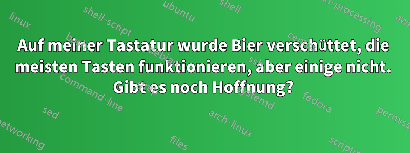 Auf meiner Tastatur wurde Bier verschüttet, die meisten Tasten funktionieren, aber einige nicht. Gibt es noch Hoffnung?