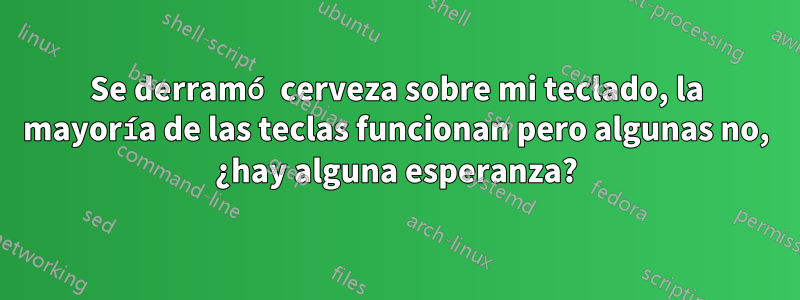 Se derramó cerveza sobre mi teclado, la mayoría de las teclas funcionan pero algunas no, ¿hay alguna esperanza?