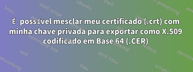 É possível mesclar meu certificado (.crt) com minha chave privada para exportar como X.509 codificado em Base 64 (.CER)