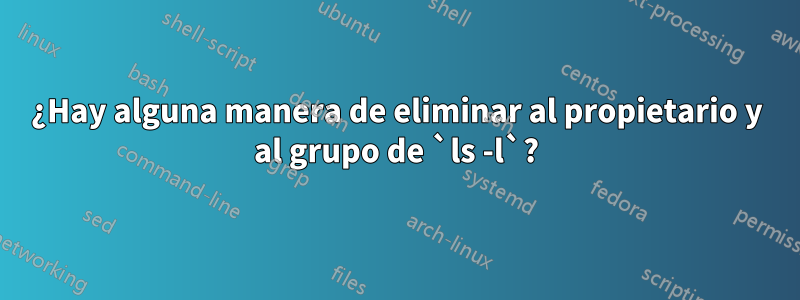 ¿Hay alguna manera de eliminar al propietario y al grupo de `ls -l`?