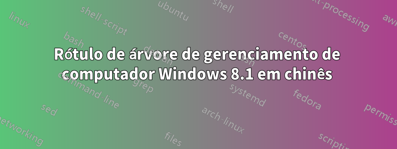 Rótulo de árvore de gerenciamento de computador Windows 8.1 em chinês