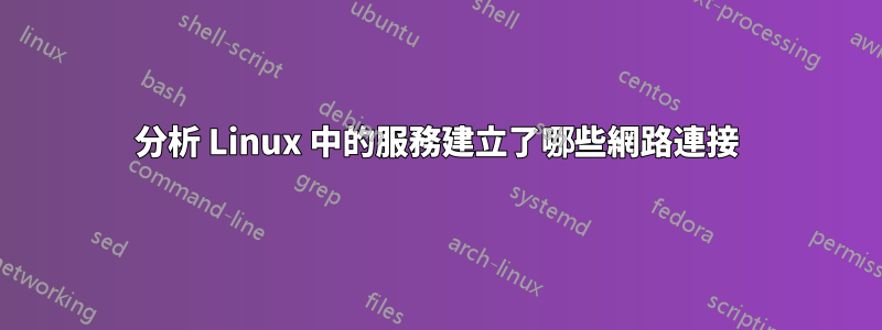 分析 Linux 中的服務建立了哪些網路連接