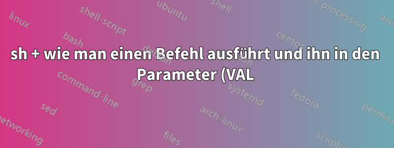 sh + wie man einen Befehl ausführt und ihn in den Parameter (VAL) einfügt