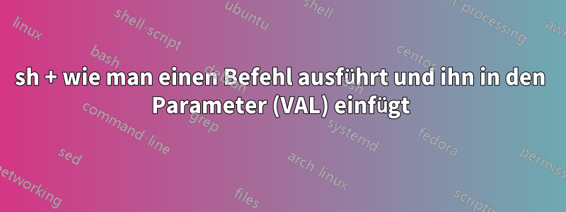 sh + wie man einen Befehl ausführt und ihn in den Parameter (VAL) einfügt