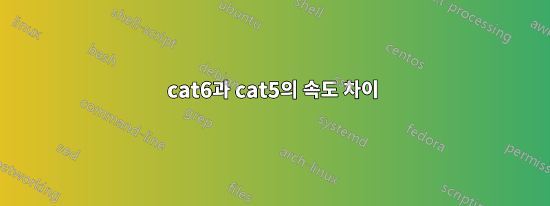 cat6과 cat5의 속도 차이