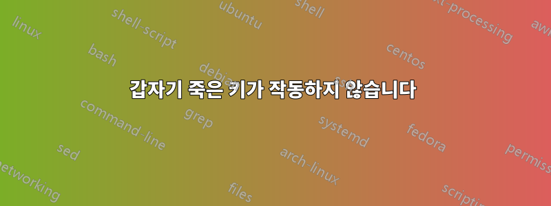 갑자기 죽은 키가 작동하지 않습니다