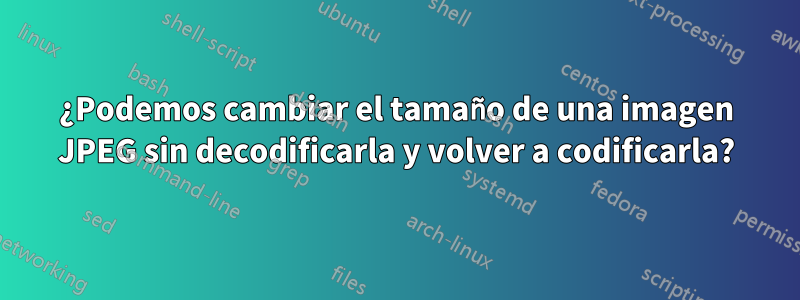 ¿Podemos cambiar el tamaño de una imagen JPEG sin decodificarla y volver a codificarla?