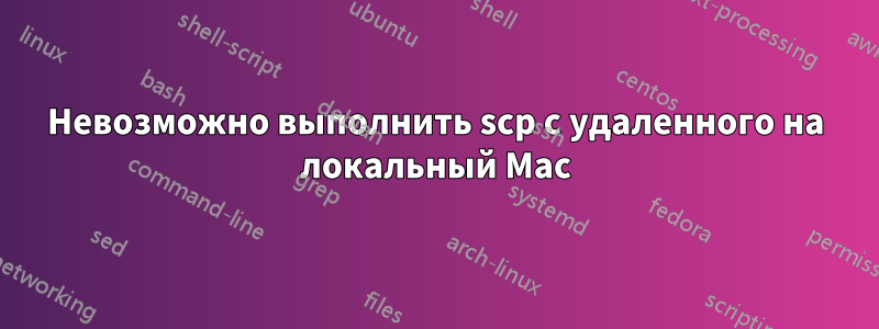 Невозможно выполнить scp с удаленного на локальный Mac