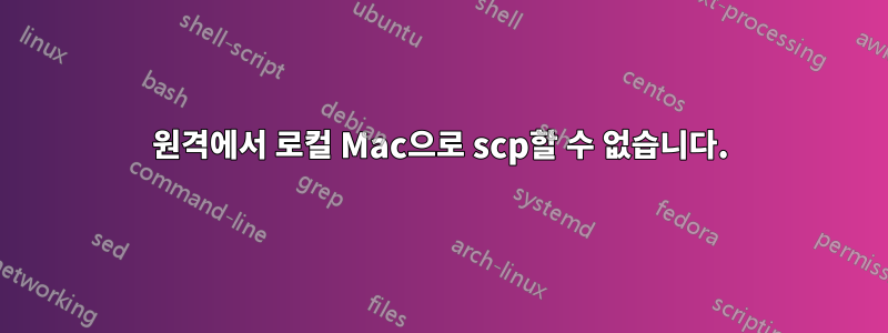 원격에서 로컬 Mac으로 scp할 수 없습니다.