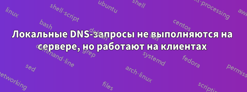 Локальные DNS-запросы не выполняются на сервере, но работают на клиентах