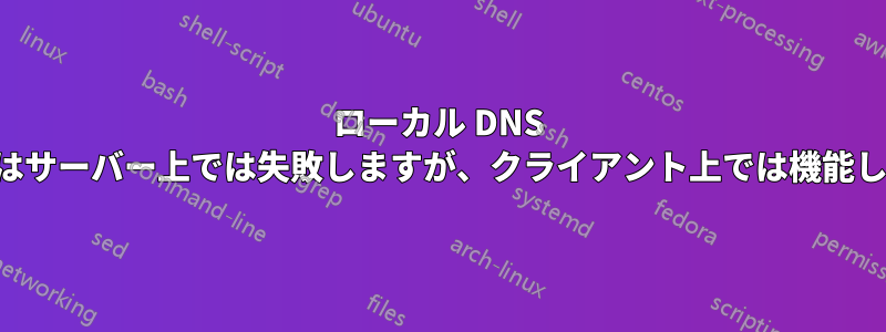 ローカル DNS クエリはサーバー上では失敗しますが、クライアント上では機能します。