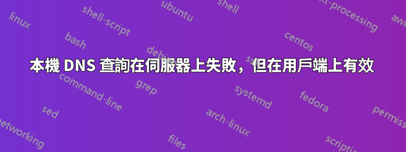 本機 DNS 查詢在伺服器上失敗，但在用戶端上有效