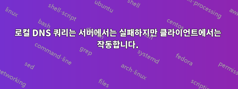 로컬 DNS 쿼리는 서버에서는 실패하지만 클라이언트에서는 작동합니다.