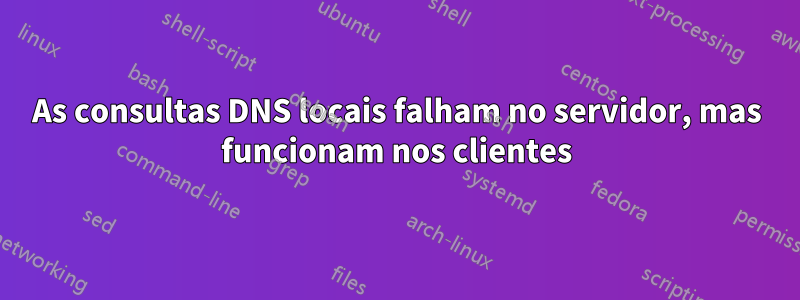 As consultas DNS locais falham no servidor, mas funcionam nos clientes