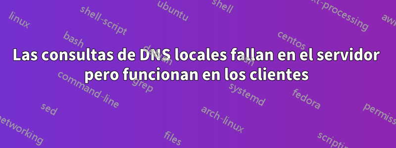 Las consultas de DNS locales fallan en el servidor pero funcionan en los clientes