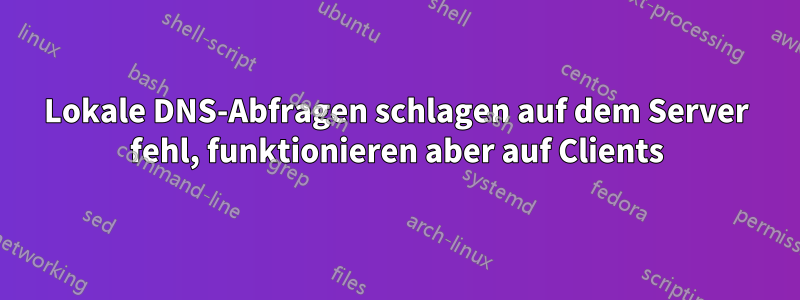 Lokale DNS-Abfragen schlagen auf dem Server fehl, funktionieren aber auf Clients