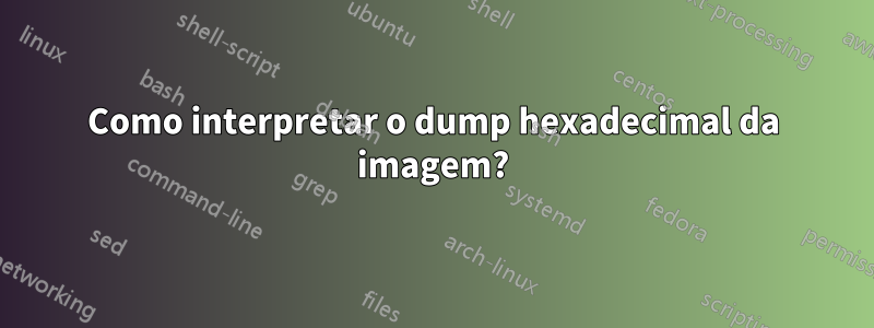 Como interpretar o dump hexadecimal da imagem?