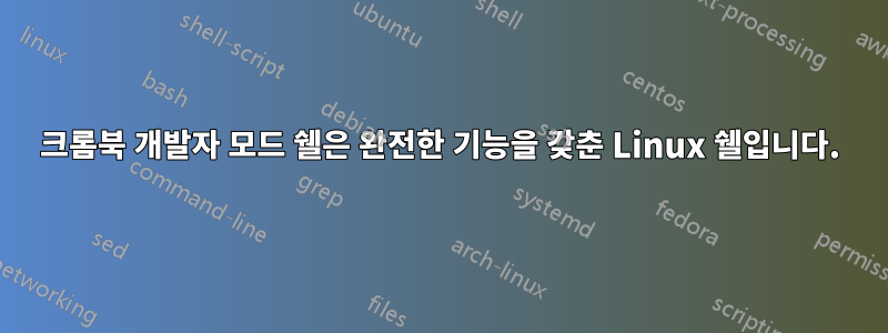 크롬북 개발자 모드 쉘은 완전한 기능을 갖춘 Linux 쉘입니다.