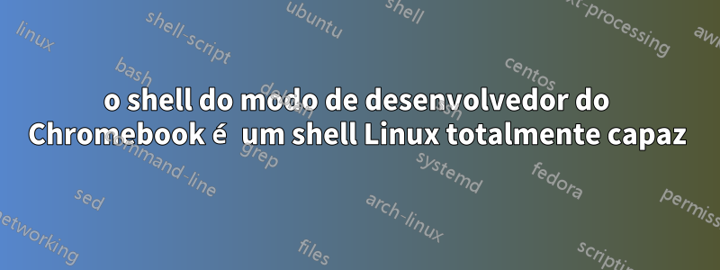 o shell do modo de desenvolvedor do Chromebook é um shell Linux totalmente capaz