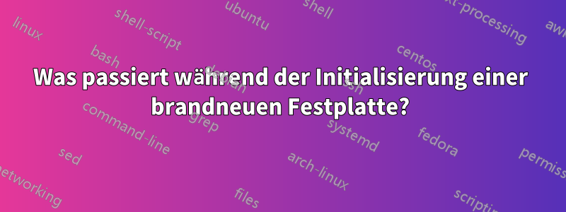 Was passiert während der Initialisierung einer brandneuen Festplatte?