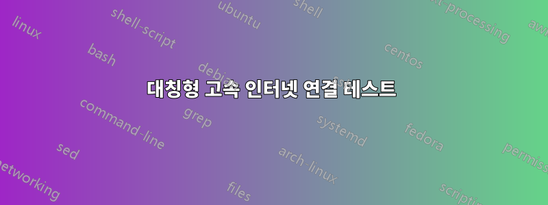 대칭형 고속 인터넷 연결 테스트