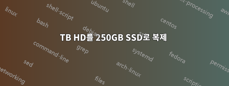 1TB HD를 250GB SSD로 복제