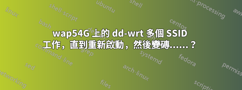 wap54G 上的 dd-wrt ​​多個 SSID 工作，直到重新啟動，然後變磚......？