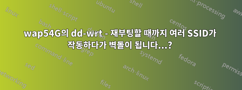 wap54G의 dd-wrt - 재부팅할 때까지 여러 SSID가 작동하다가 벽돌이 됩니다...?