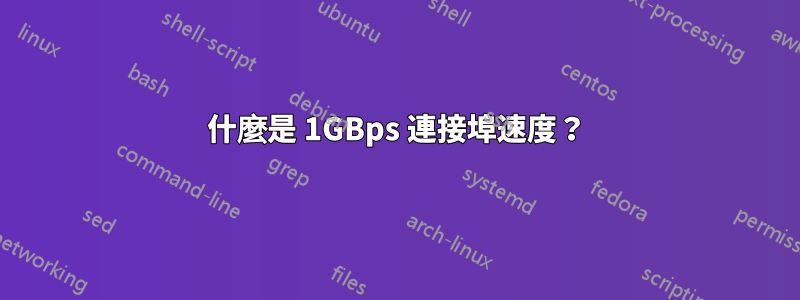 什麼是 1GBps 連接埠速度？