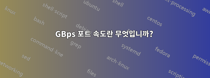 1GBps 포트 속도란 무엇입니까?