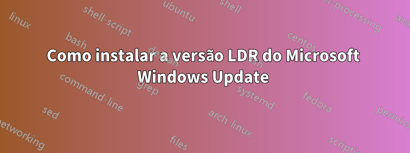 Como instalar a versão LDR do Microsoft Windows Update