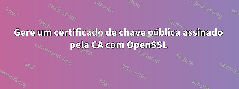 Gere um certificado de chave pública assinado pela CA com OpenSSL