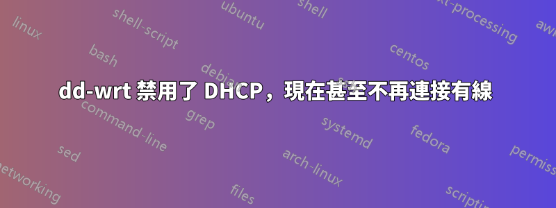 dd-wrt ​​禁用了 DHCP，現在甚至不再連接有線