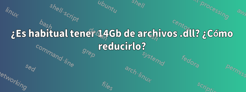 ¿Es habitual tener 14Gb de archivos .dll? ¿Cómo reducirlo?