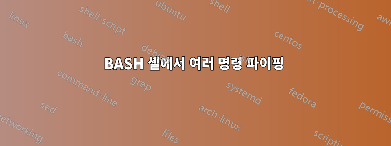 BASH 셸에서 여러 명령 파이핑