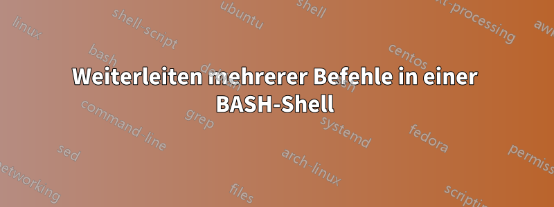 Weiterleiten mehrerer Befehle in einer BASH-Shell