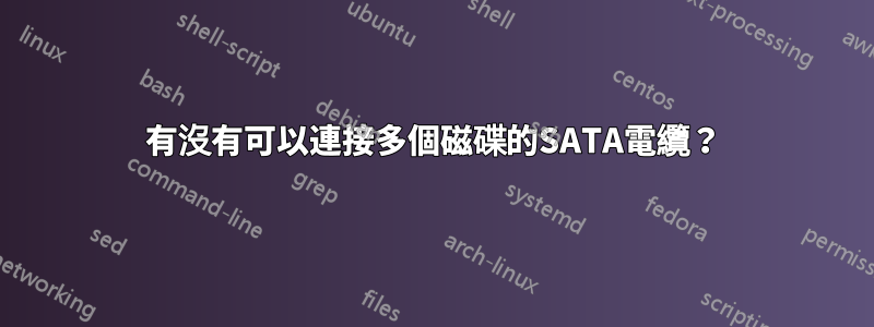 有沒有可以連接多個磁碟的SATA電纜？