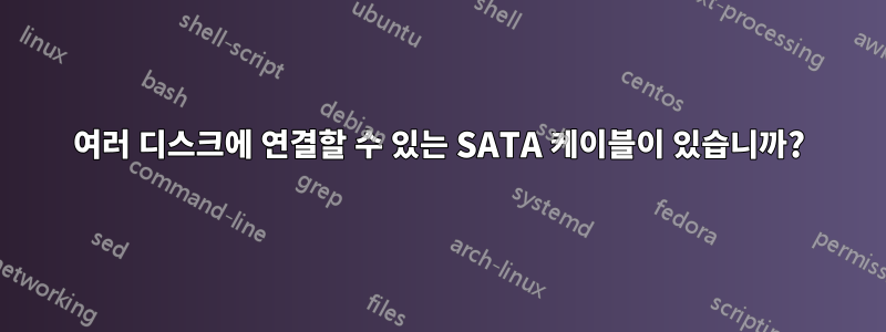 여러 디스크에 연결할 수 있는 SATA 케이블이 있습니까?