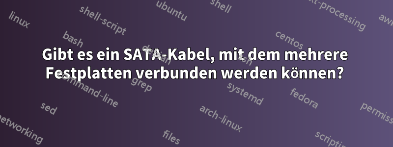 Gibt es ein SATA-Kabel, mit dem mehrere Festplatten verbunden werden können?