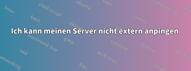 Ich kann meinen Server nicht extern anpingen