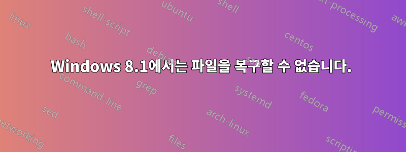 Windows 8.1에서는 파일을 복구할 수 없습니다.