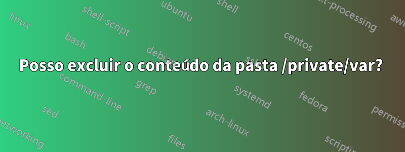 Posso excluir o conteúdo da pasta /private/var?