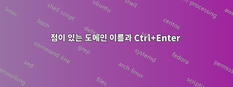 점이 있는 도메인 이름과 Ctrl+Enter