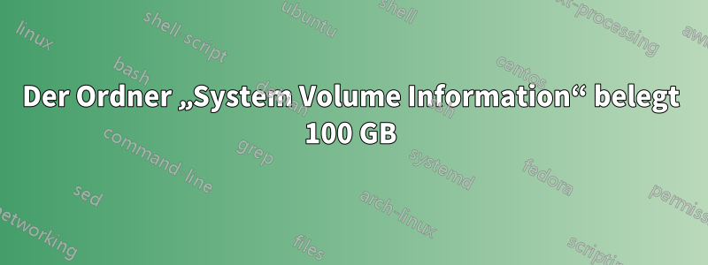 Der Ordner „System Volume Information“ belegt 100 GB